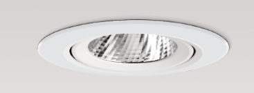 LED downlight tulip